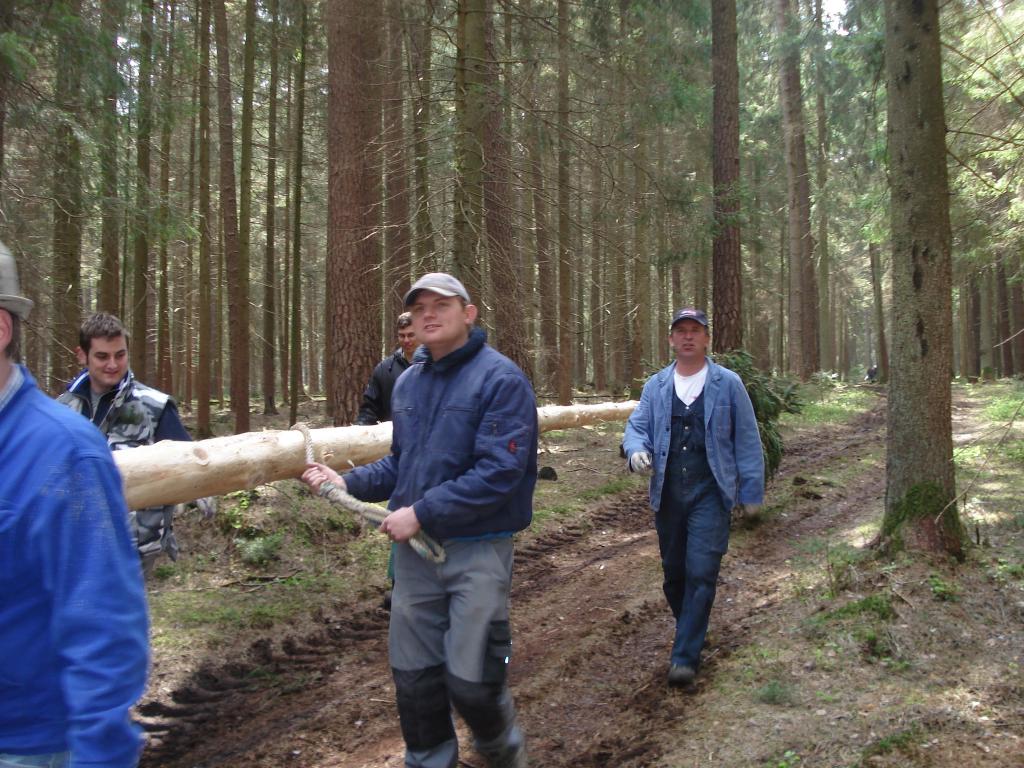 Bild vergr&ouml;ssern