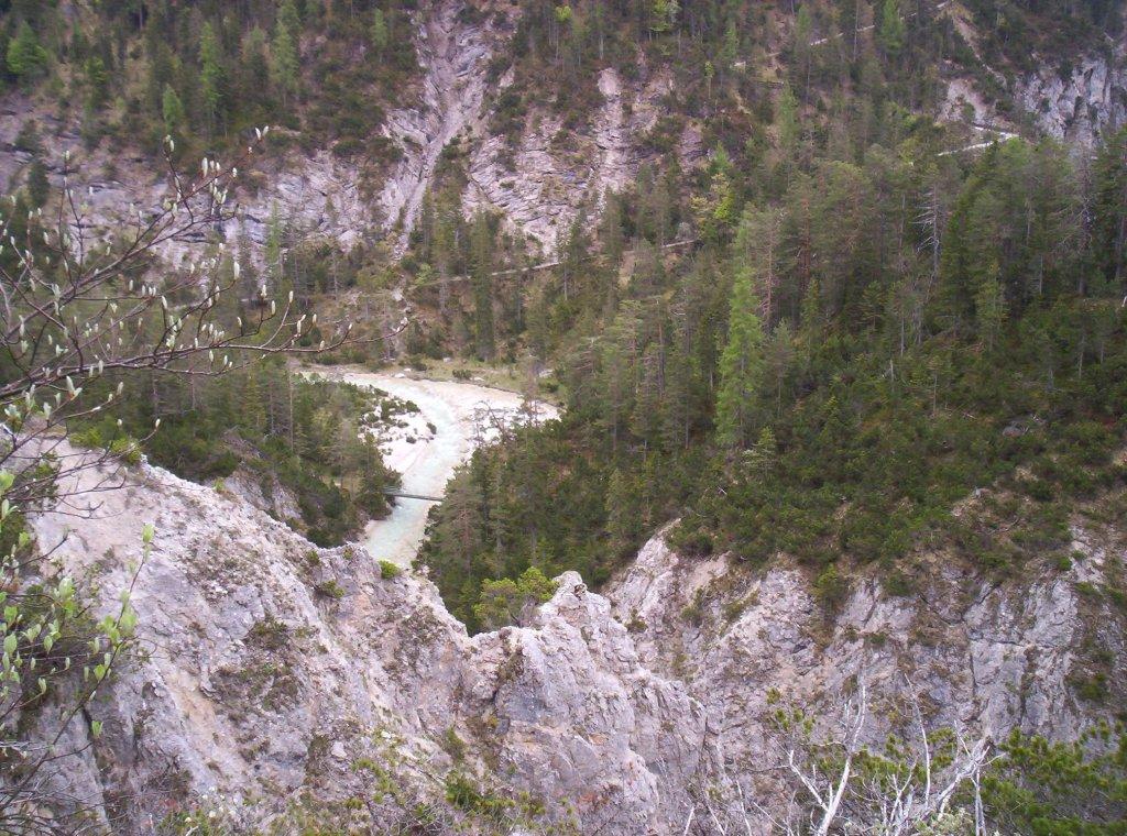 Bild vergr&ouml;ssern