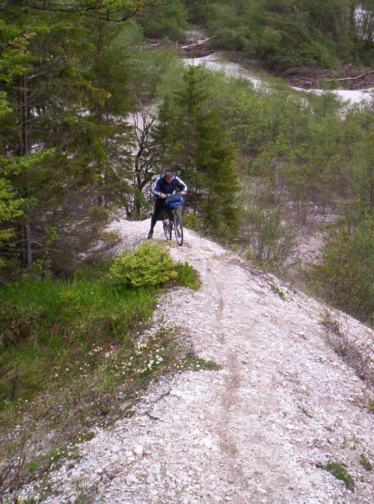 Bild vergr&ouml;ssern