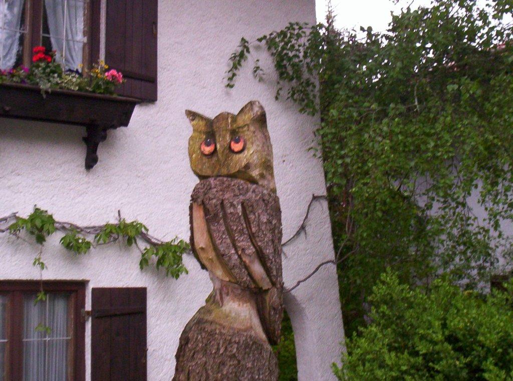 Bild vergr&ouml;ssern