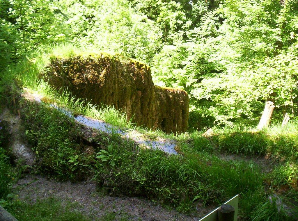 Bild vergr&ouml;ssern