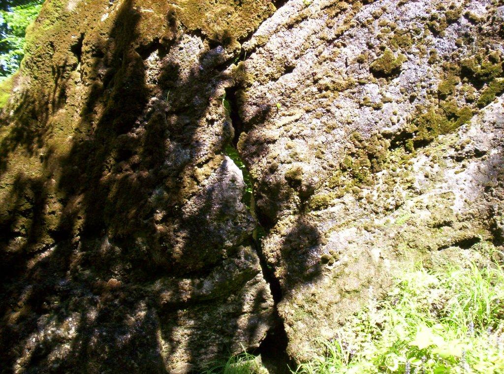 Bild vergr&ouml;ssern