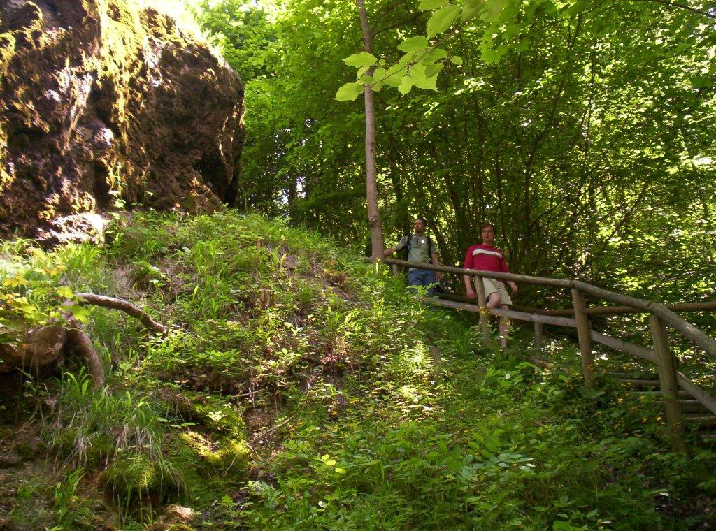 Bild vergr&ouml;ssern