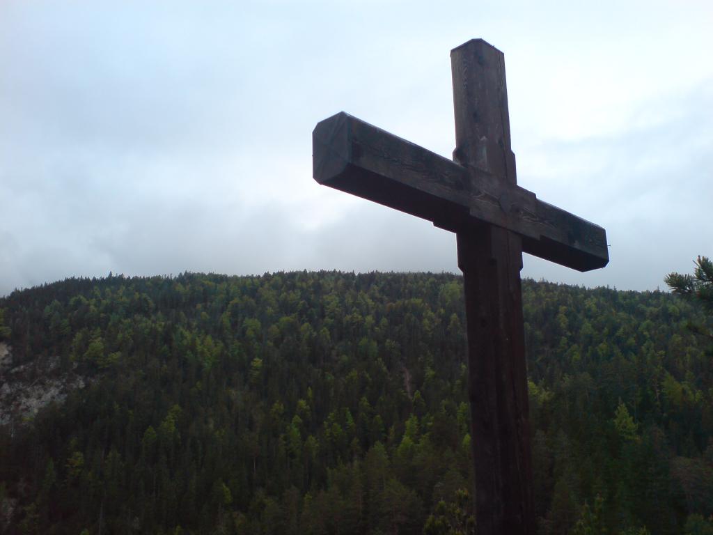 Bild vergr&ouml;ssern