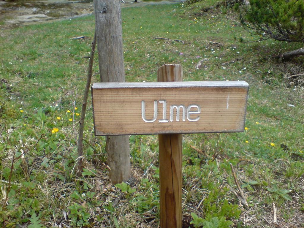 Bild vergr&ouml;ssern