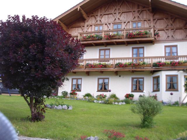 Bild vergr&ouml;ssern