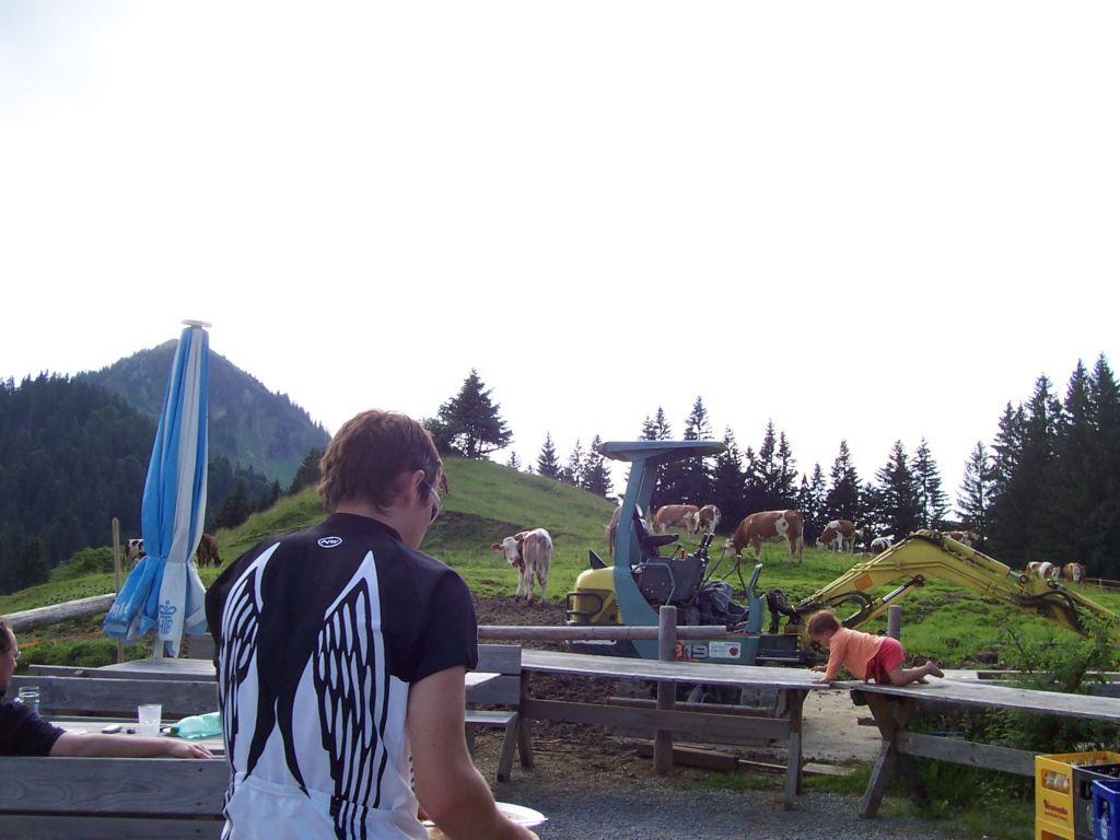 Bild vergr&ouml;ssern