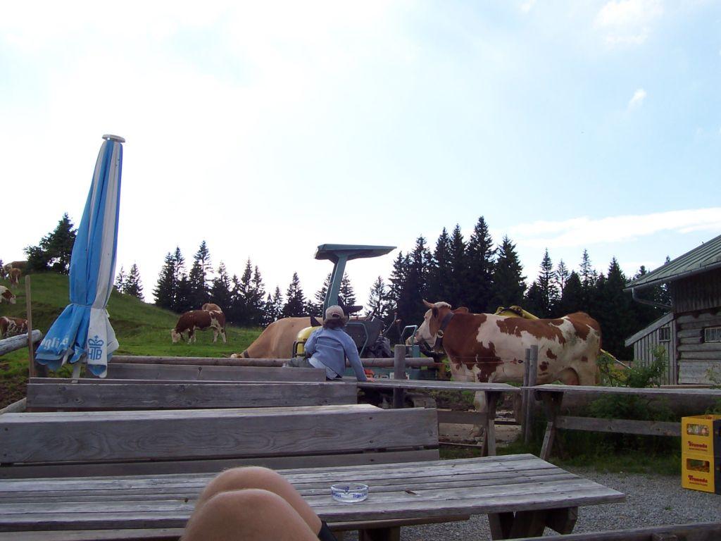 Bild vergr&ouml;ssern