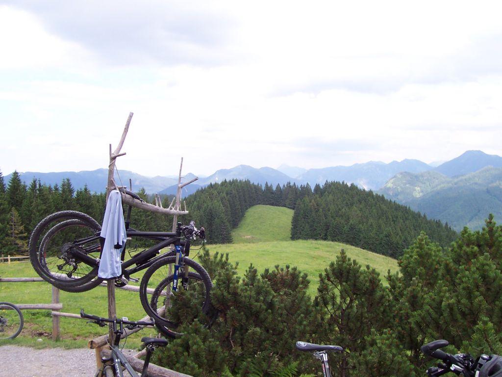 Bild vergr&ouml;ssern