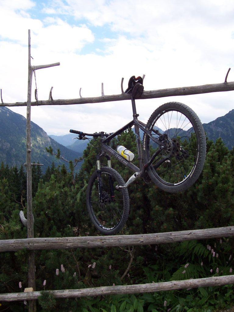 Bild vergr&ouml;ssern