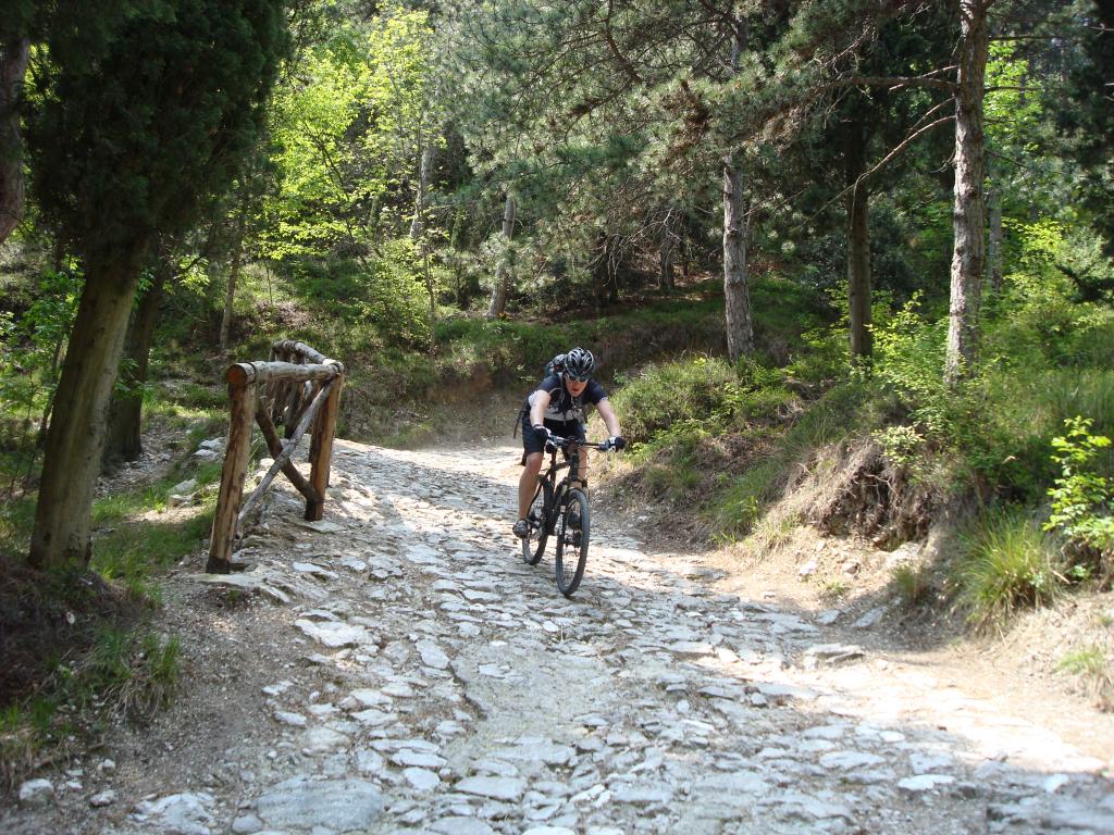 Bild vergr&ouml;ssern