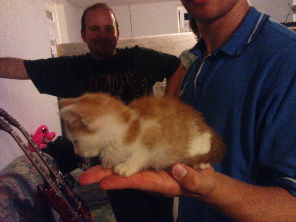 Bild vergr&ouml;ssern