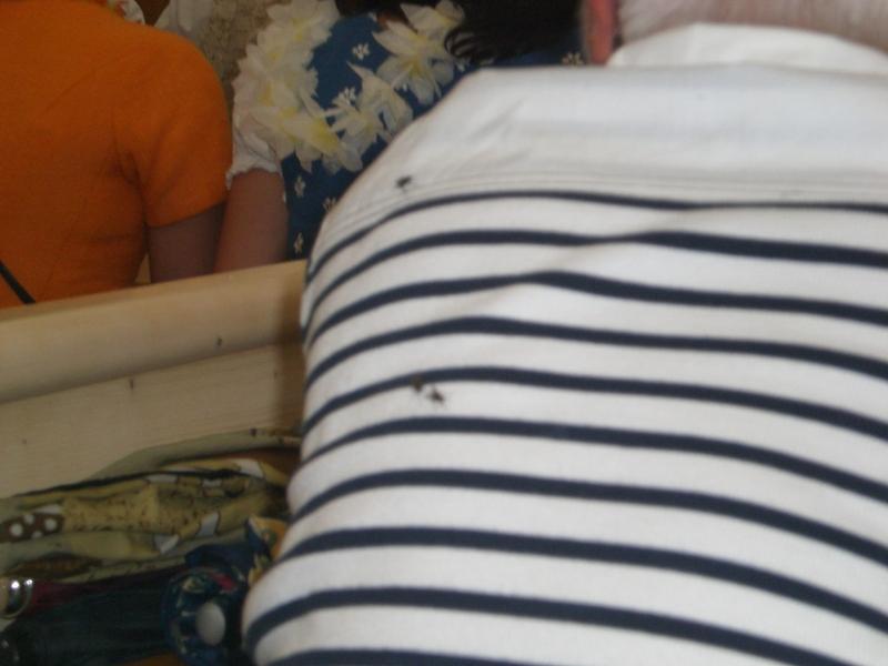 Bild vergr&ouml;ssern