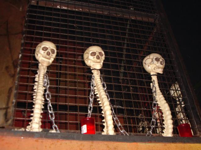 Bild vergr&ouml;ssern