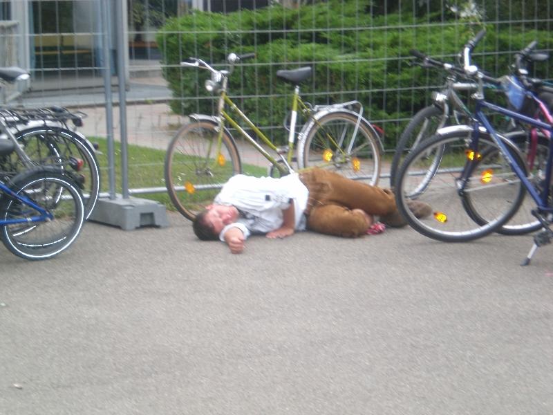 Bild vergr&ouml;ssern