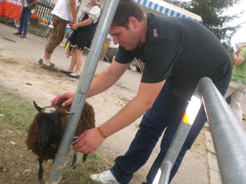 Bild vergr&ouml;ssern