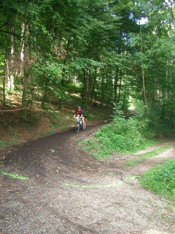 Bild vergr&ouml;ssern