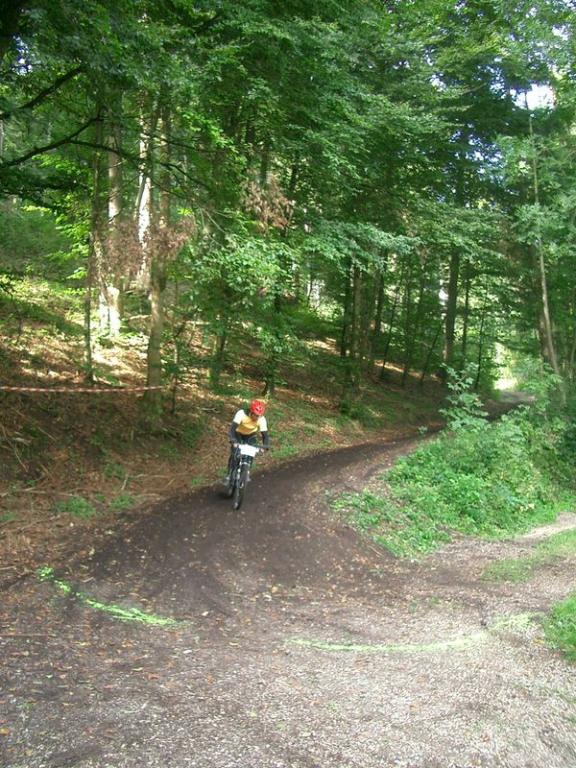 Bild vergr&ouml;ssern