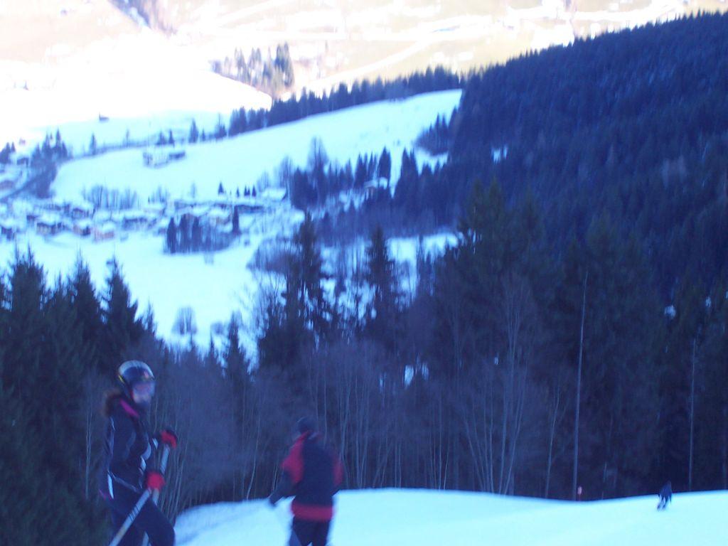 Bild vergr&ouml;ssern