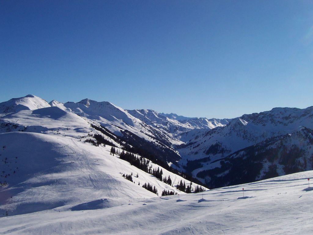 Bild vergr&ouml;ssern