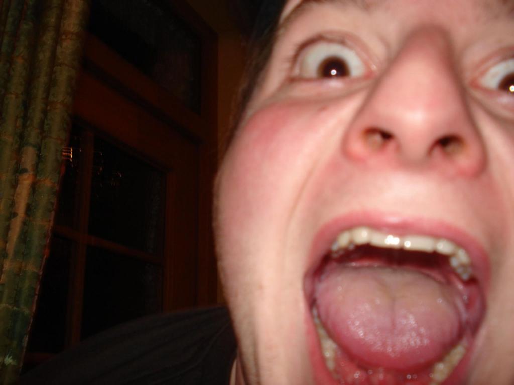 Bild vergr&ouml;ssern