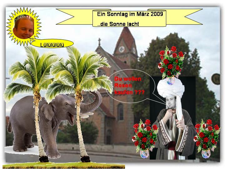 Bild vergr&ouml;ssern