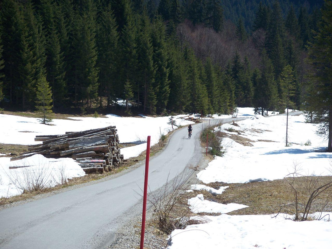 Bild vergr&ouml;ssern