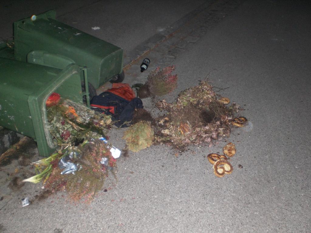 Bild vergr&ouml;ssern