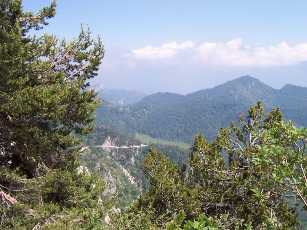 Bild vergr&ouml;ssern