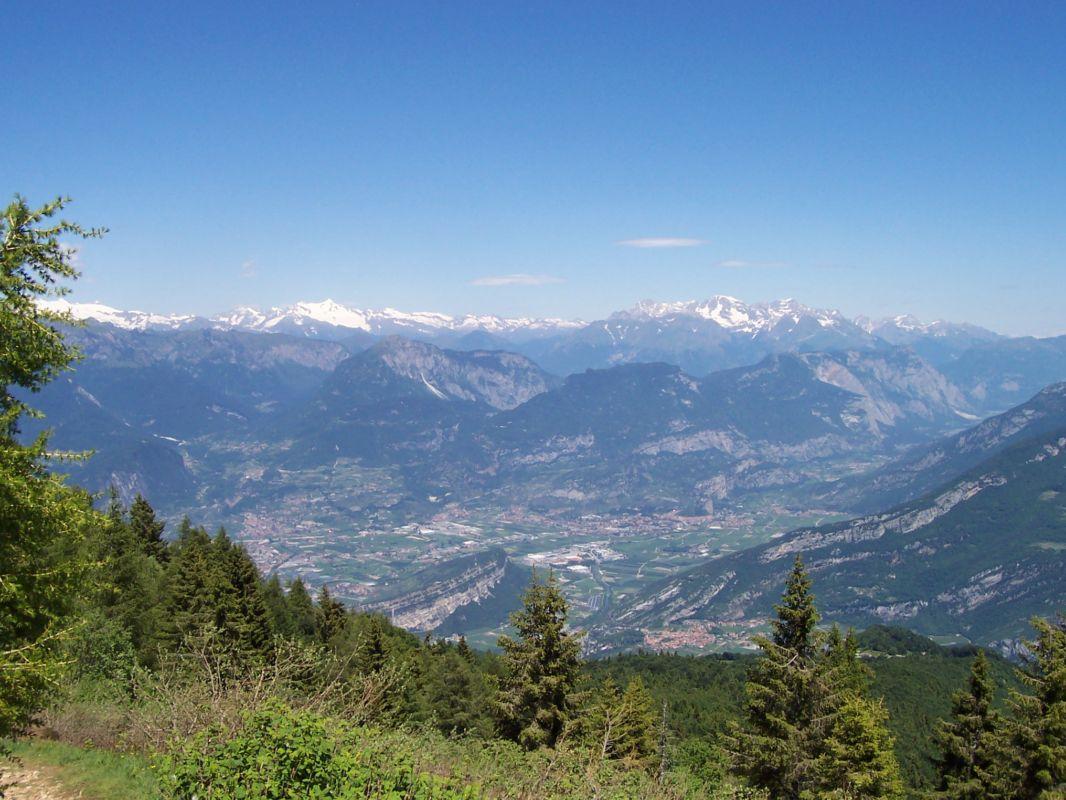 Bild vergr&ouml;ssern