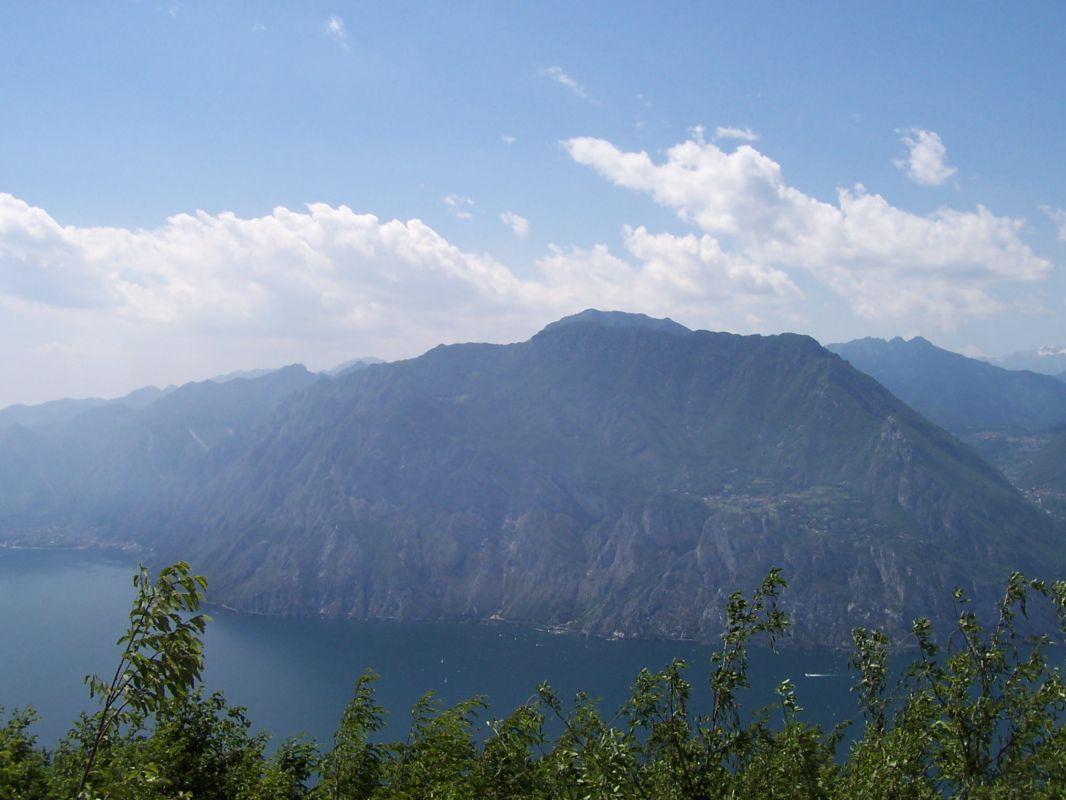 Bild vergr&ouml;ssern