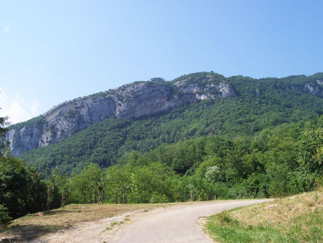 Bild vergr&ouml;ssern