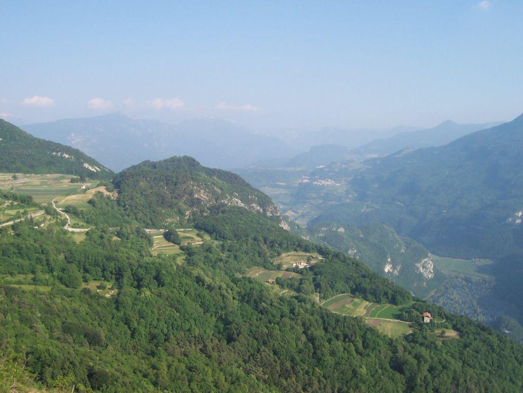 Bild vergr&ouml;ssern