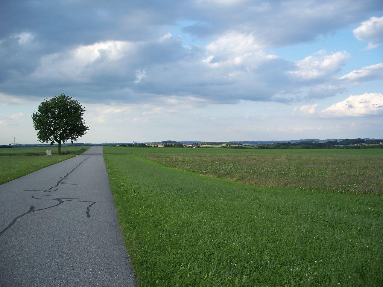 Bild vergr&ouml;ssern