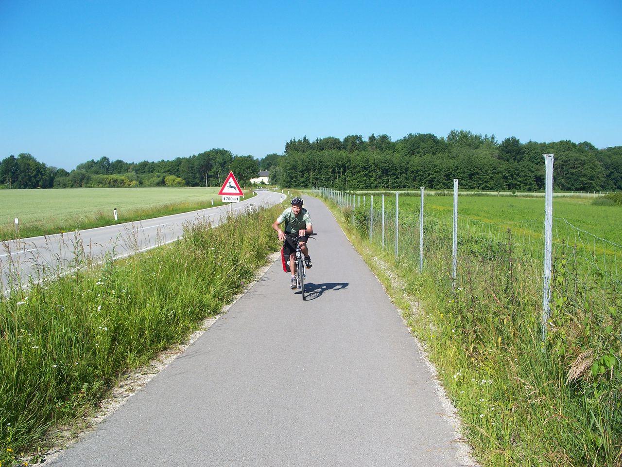 Bild vergr&ouml;ssern