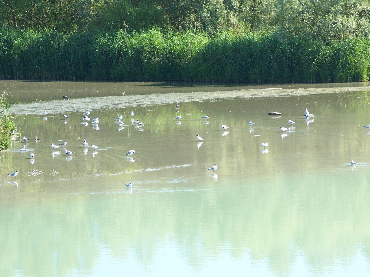 Bild vergr&ouml;ssern