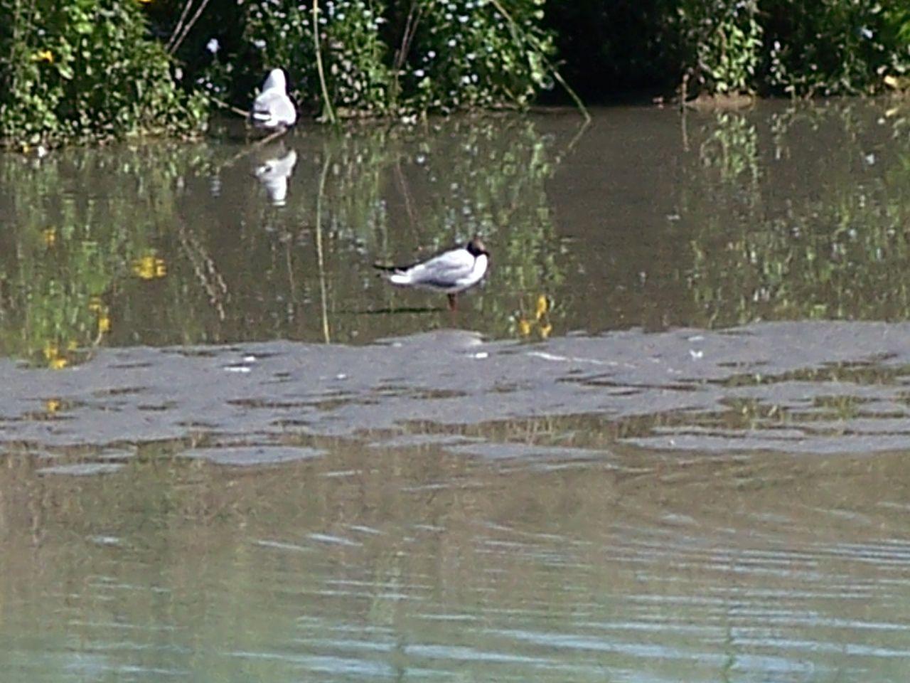 Bild vergr&ouml;ssern