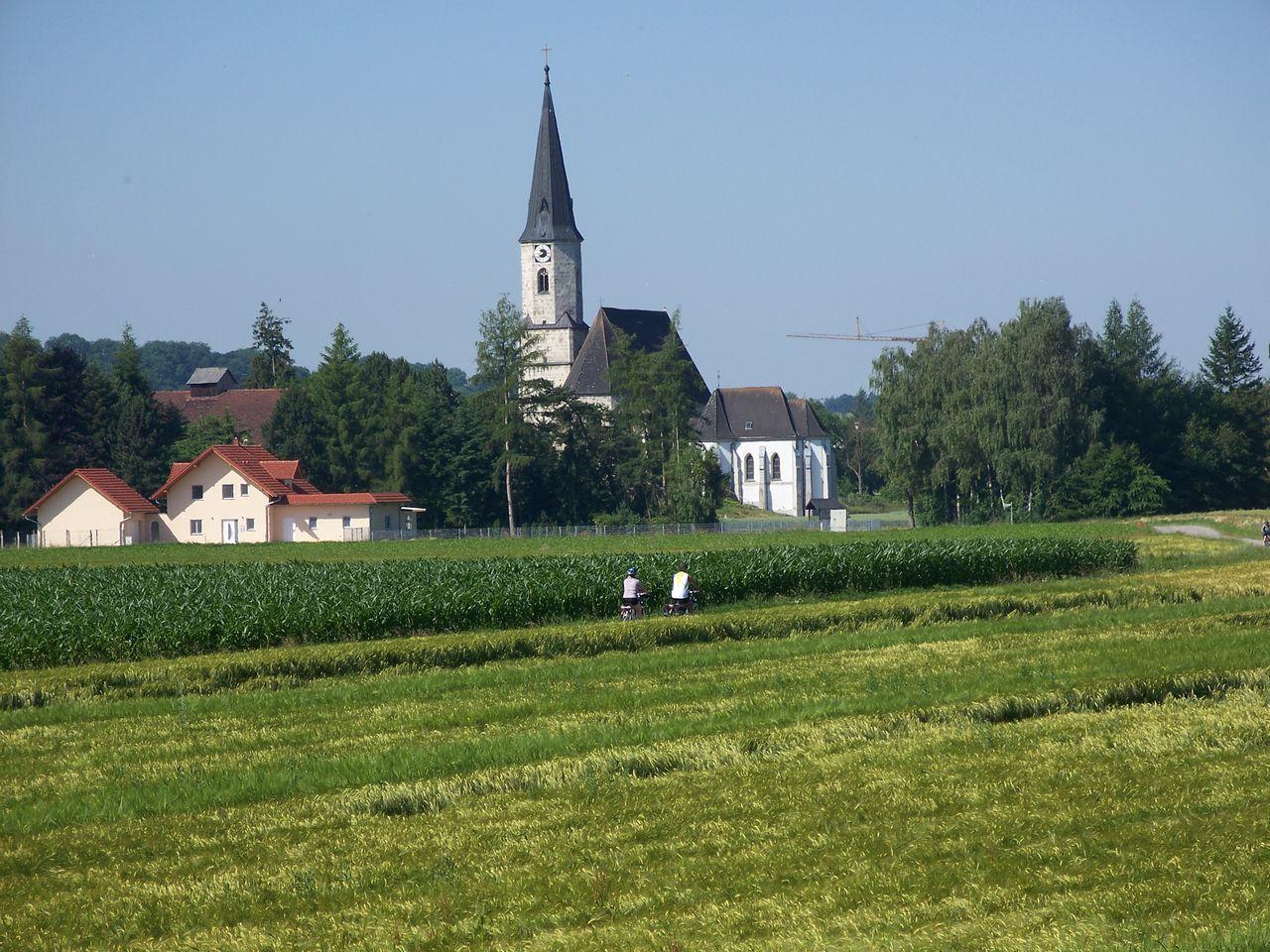 Bild vergr&ouml;ssern