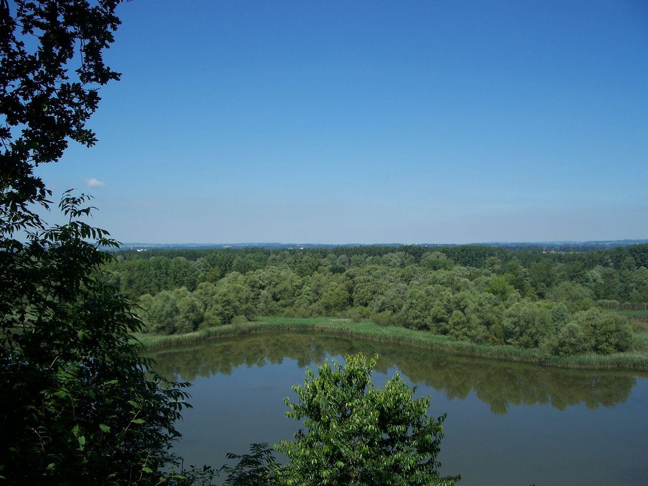 Bild vergr&ouml;ssern