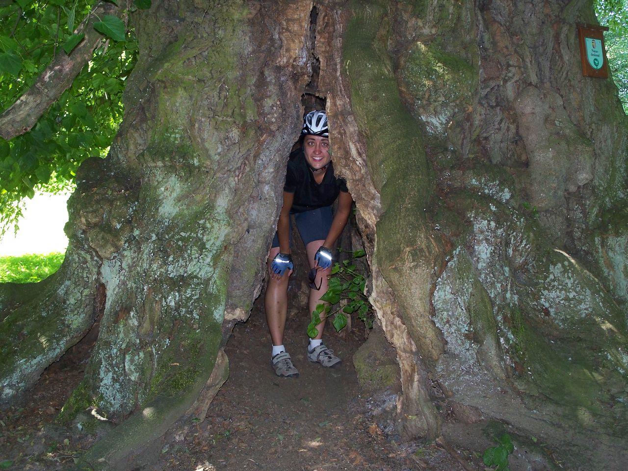 Bild vergr&ouml;ssern