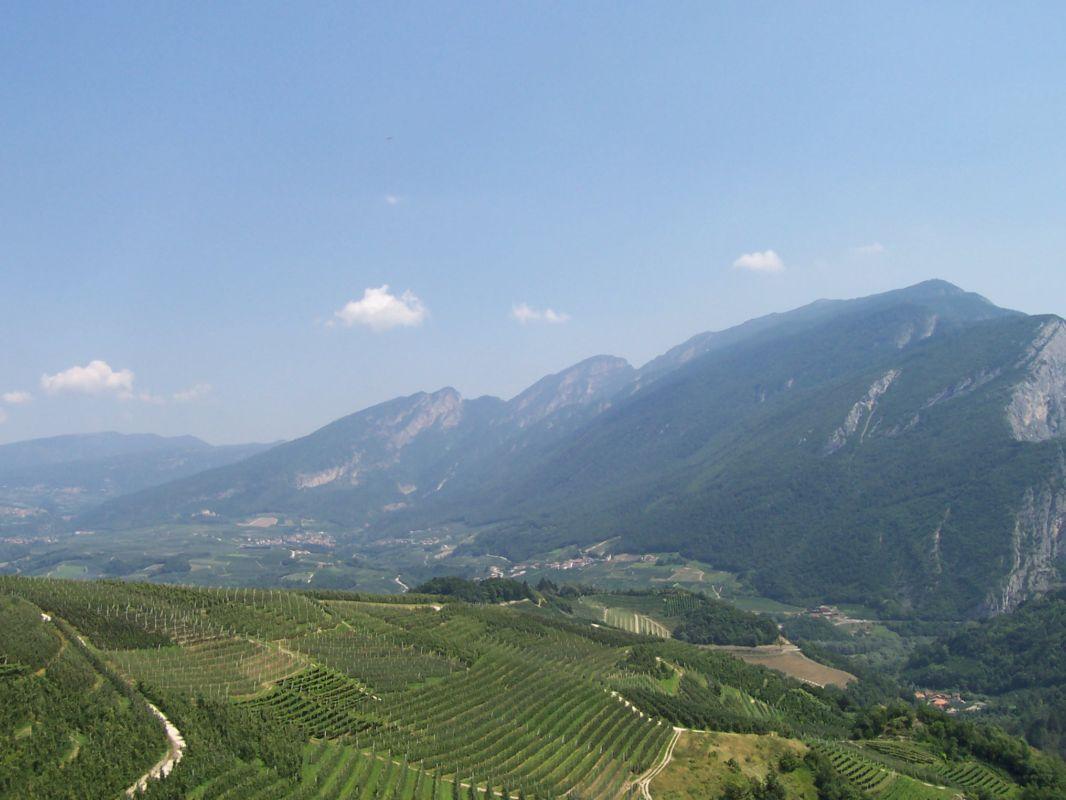 Bild vergr&ouml;ssern