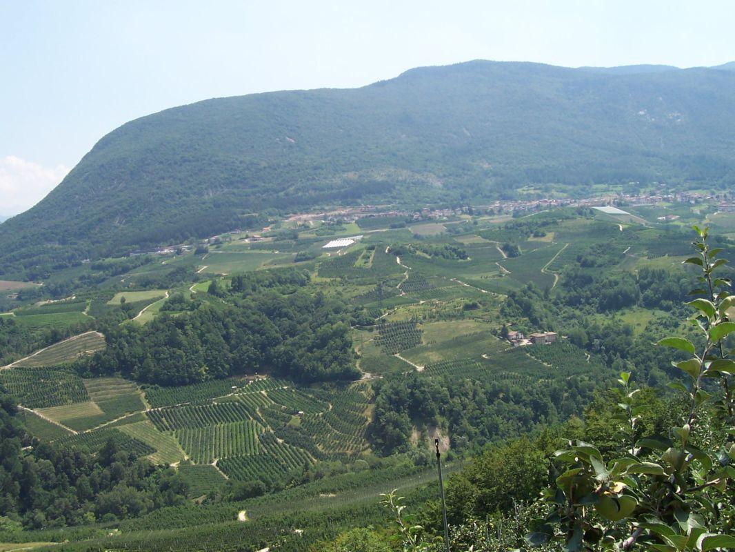 Bild vergr&ouml;ssern