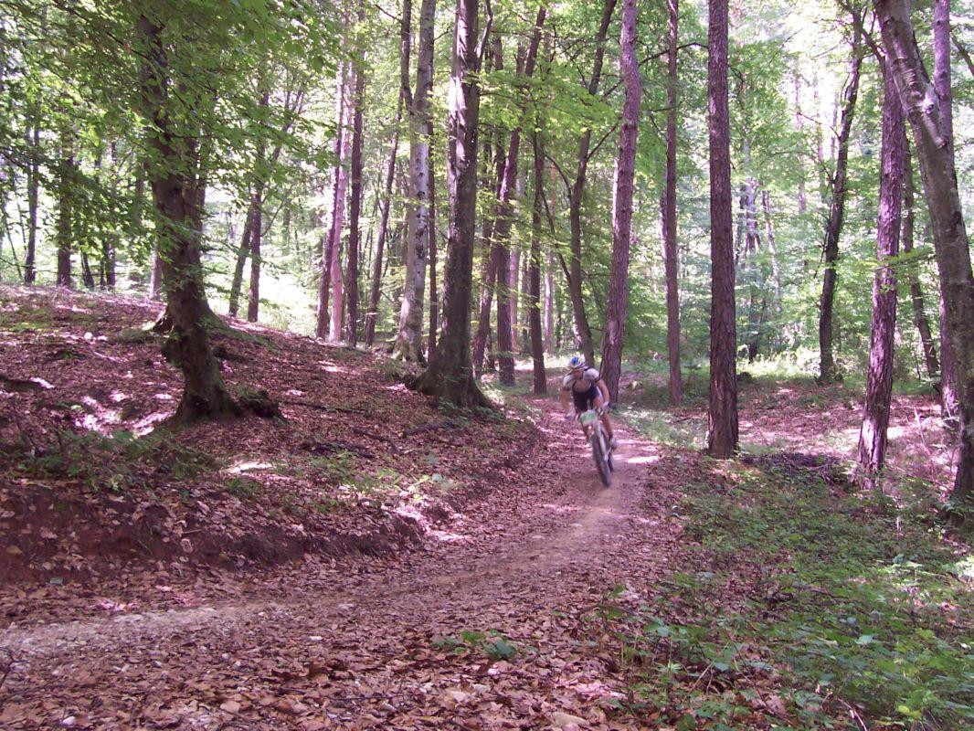 Bild vergr&ouml;ssern