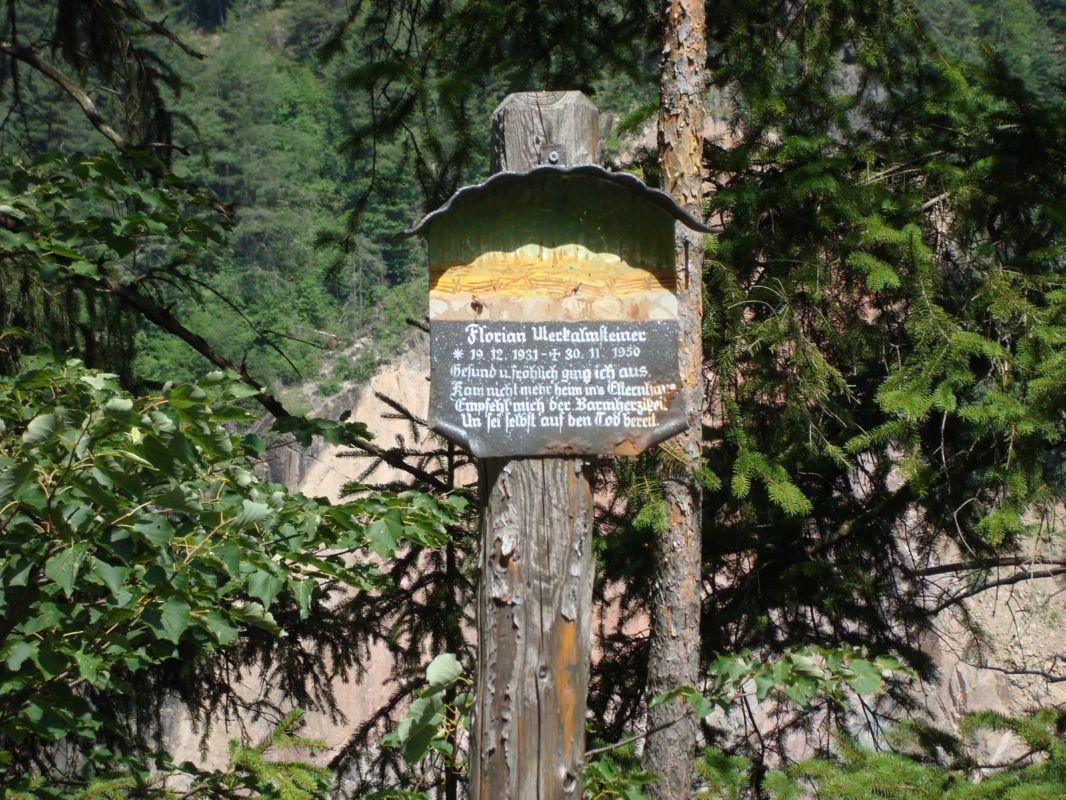 Bild vergr&ouml;ssern