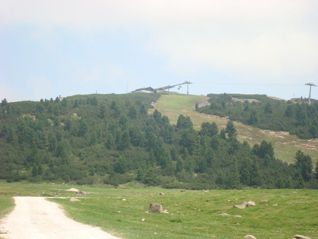 Bild vergr&ouml;ssern