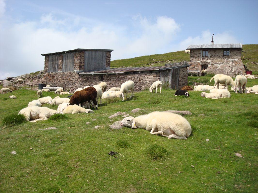 Bild vergr&ouml;ssern