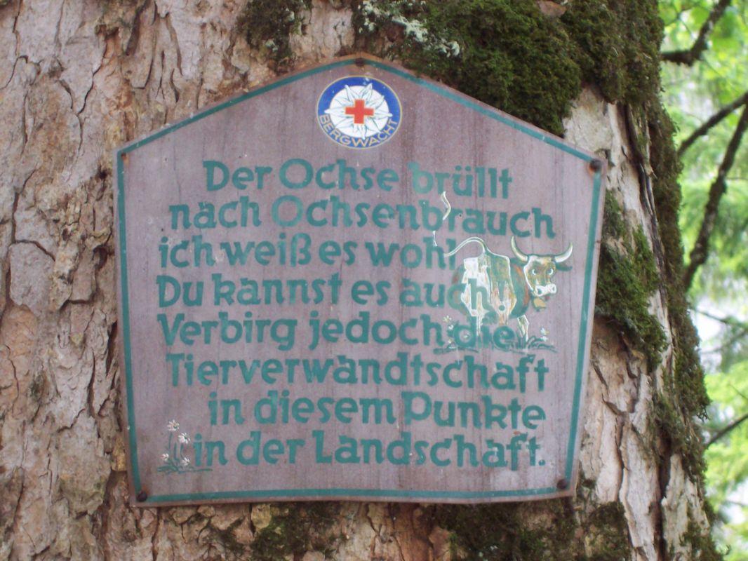 Bild vergr&ouml;ssern