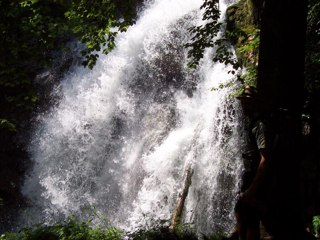 Bild vergr&ouml;ssern