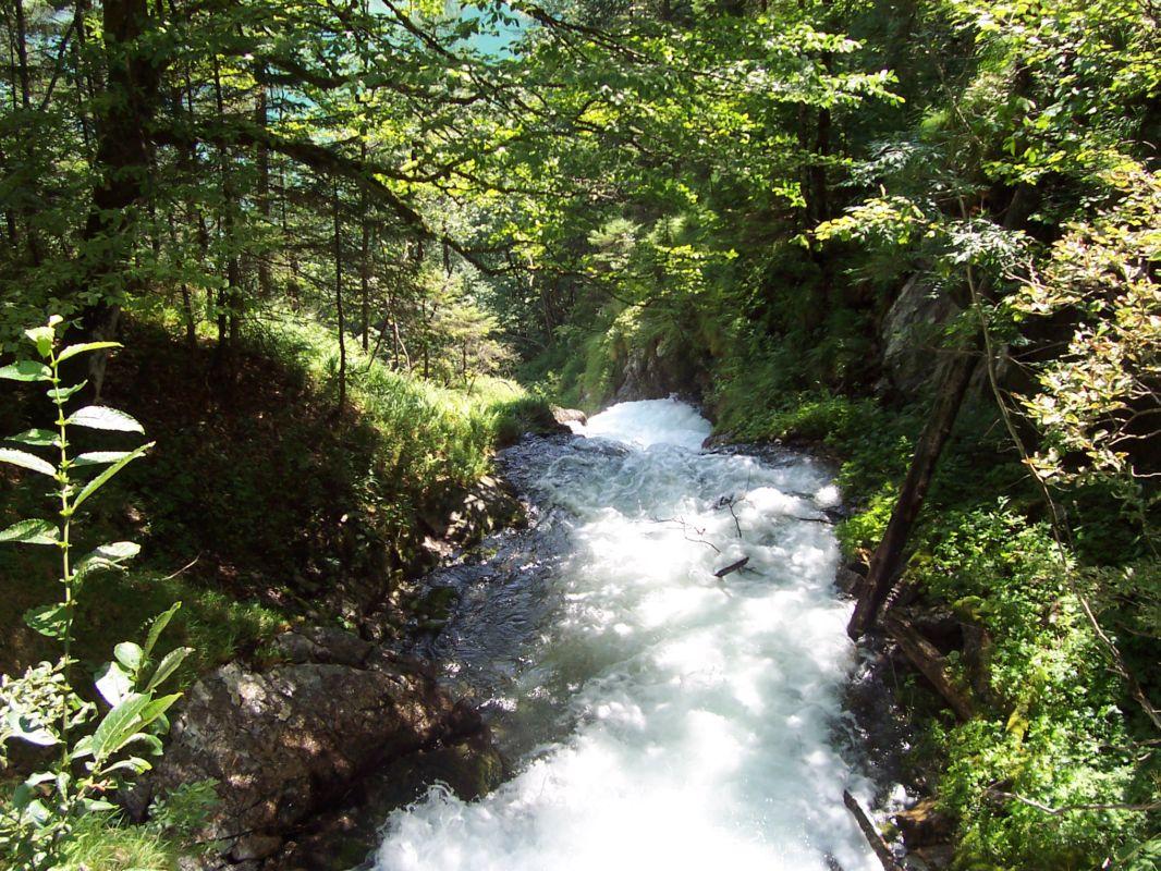 Bild vergr&ouml;ssern