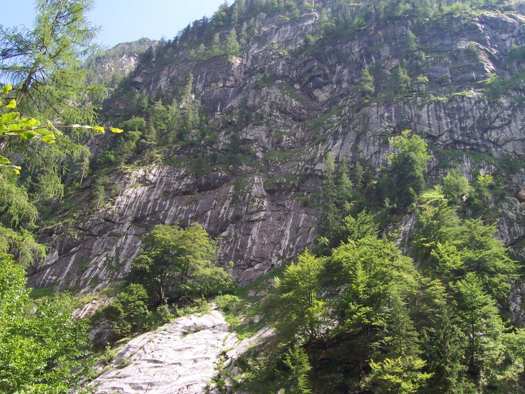 Bild vergr&ouml;ssern